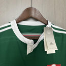 Camisa Retrô Palmeiras 2014 Centenário - Verde