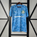 Camisa de Goleiro Palmeiras 25/26 - Azul