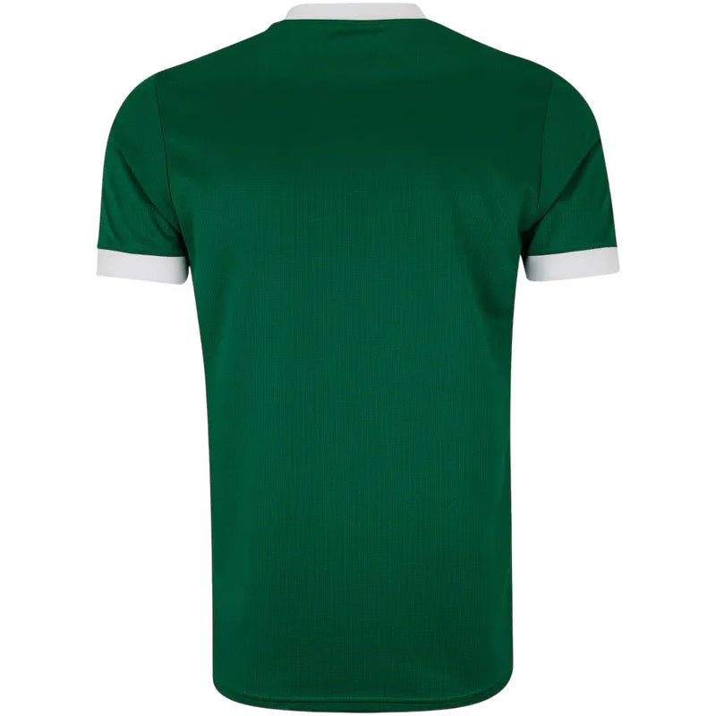 Camisa Palmeiras Home 25/26 - Verde